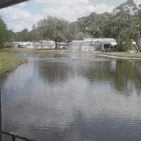 Oak Springs Rv Resort Port Richey Zewnętrze zdjęcie